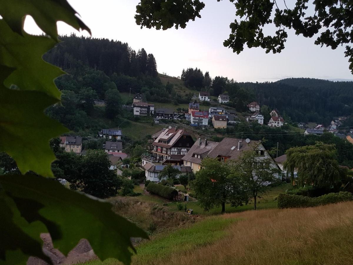 Gasthaus Muehlenstube Lauterbach (Baden-Wurttemberg) Exterior foto