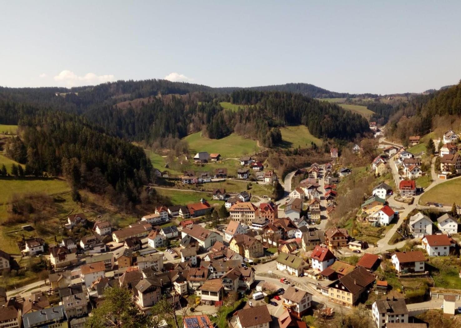 Gasthaus Muehlenstube Lauterbach (Baden-Wurttemberg) Exterior foto